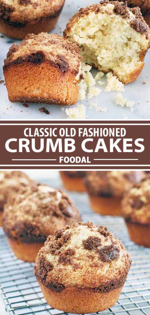 A collage of photos showing different views of an old fashioned homemade crumb cake recipe.