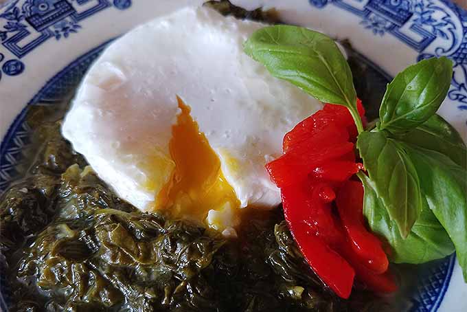 Closeup of a poached egg broken to expose the soft-cooked yolk, on a bed of steamed spinach with red pimiento peppers and a sprig of basil, on a white and blue willow patterned plate.