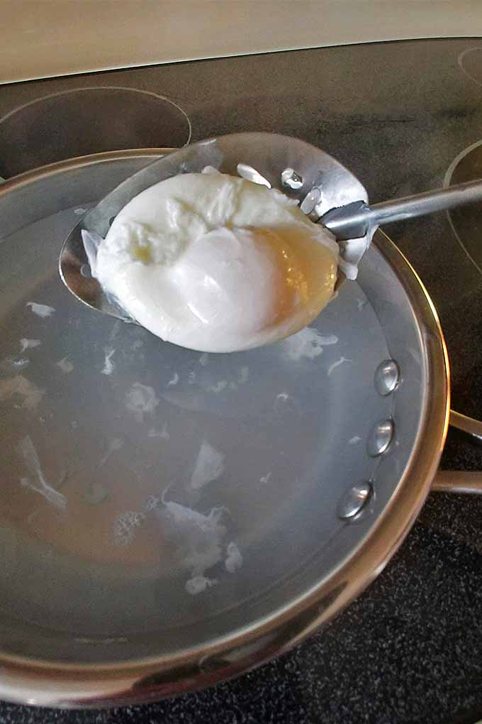 Vertical image of a poached egg in a slotted spoon held over a frying pan of water with floating bits of the white, on a black electric flat-topped stove.