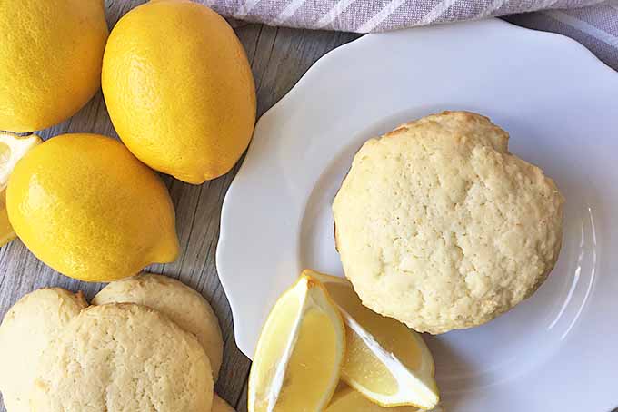 Horizontal image of one cookie on a white plate with lemon slices, lemons, cookies, and a towel around it. 