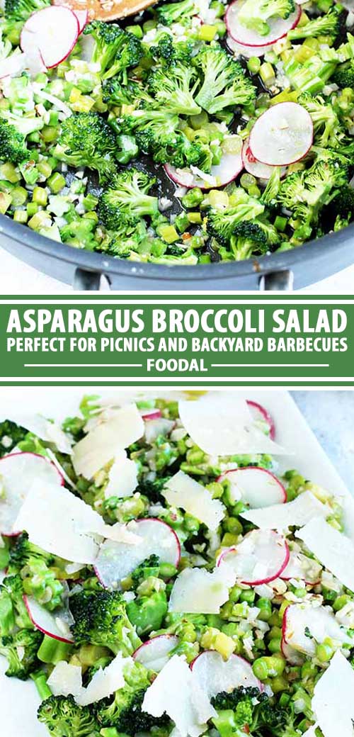 A collage of photos showing various views of an asparagus broccoli salad recipe.