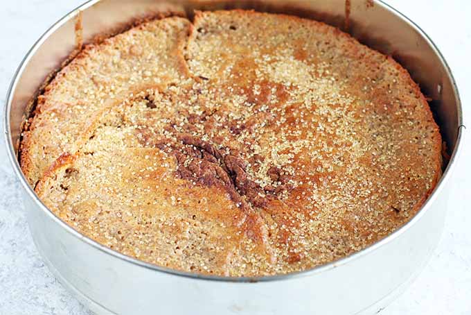 Closeup of a just-baked spelt cake in a springform pan, with a crack on its golden brown top.