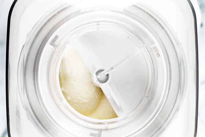Top-down closeup shot of a Cuisinart ice cream maker filled with an off-white vanilla base mixture.