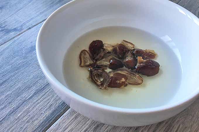 Horizontal image of a bowl of dates in water.