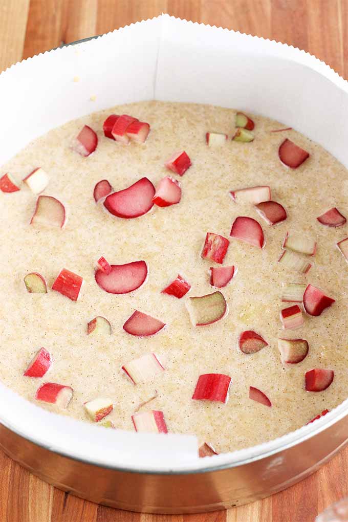 Top-down shot of a metal springform pan lined with parchment paper and filled with a beige batter topped with scattered pieces of chopped rhubarb, on a wood background.