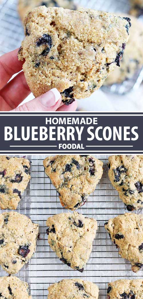 A collage of photos showing different views of a blueberry scone recipe.