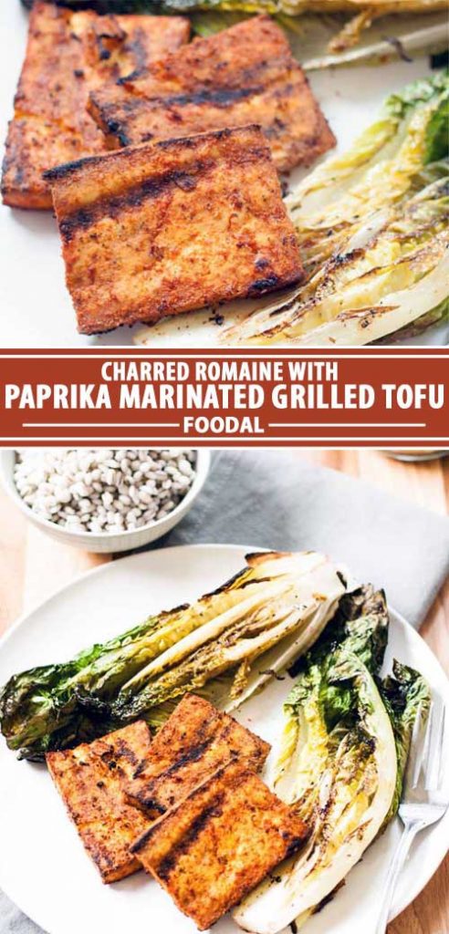 A collage of photos showing different views of a paprika marinated grilled tofu recipe.