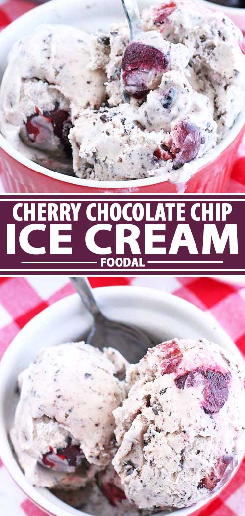 A collage of photos showing different views of a cherry chocolate chip ice cream recipe.