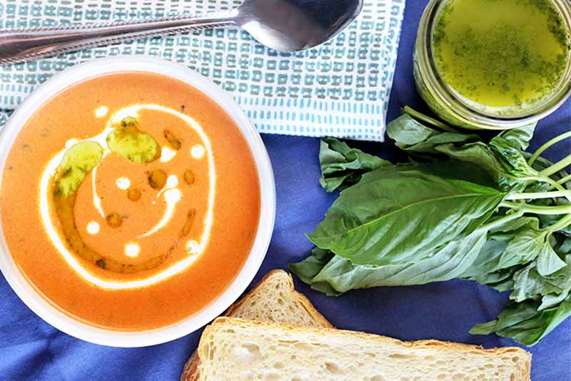 Top-down shot of a white bowl of orange tomato soup topped with a drizzle of cream and dots of green herb oil, with a jar of basil oil beside a sprig of the fresh herb, two slices of bread at the bottom of the frame, and a folded gray and white cloth napkin topped with a stainless steel spoon at the top of the frame, on a blue wrinkled cloth.