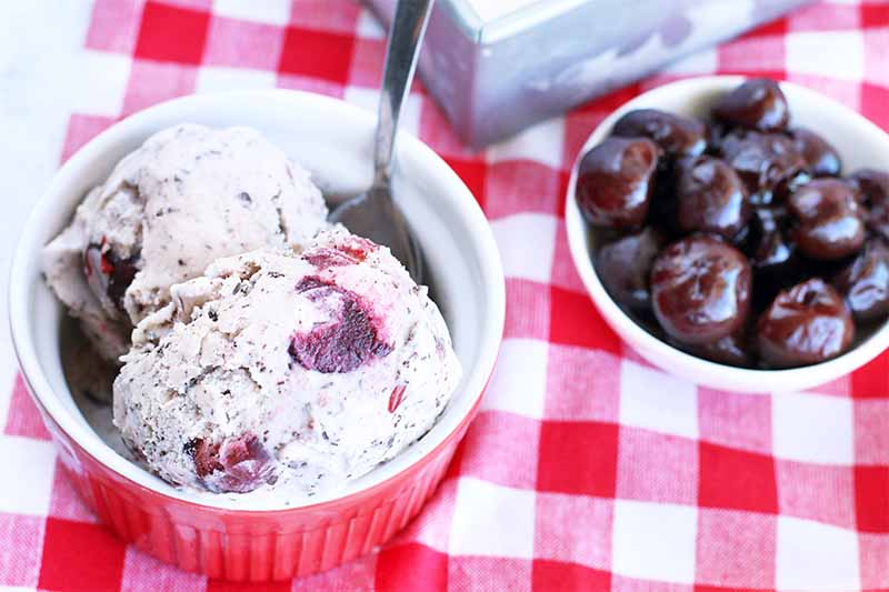 A red and white ramekin of homemade cherry chocolate chip ice cream with a spoon, next to a metal loaf pan of more of the frozen dessert, and a white bowl of black cherries, on a white and red checkered tablecloth.