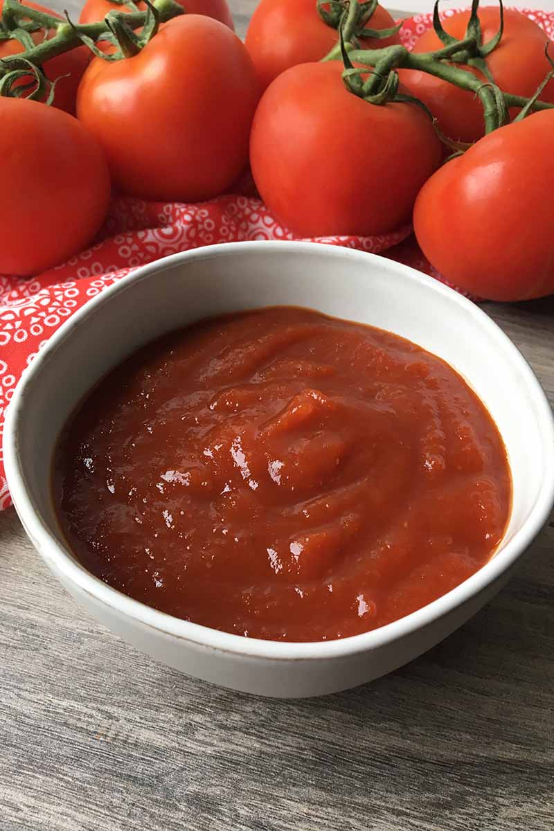 Vertical closeup image of a white bowl with fresh ketchup with tomatoes in the background.