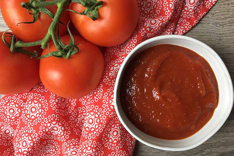 imagem Horizontal de uma pequena tigela de ketchup ao lado de tomates frescos em um guardanapo vermelho.