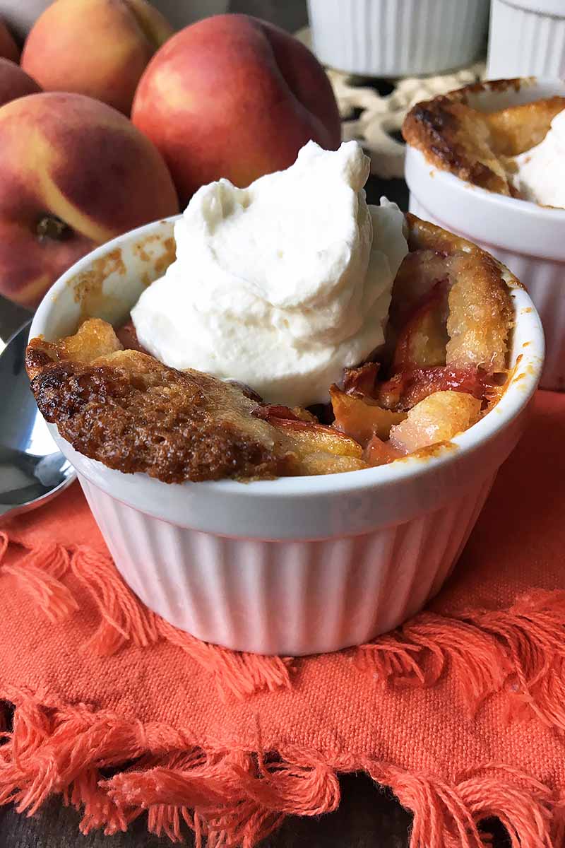 Vertical image of fruit cobbler topped with a dollop of whipped cream with peaches in the background.