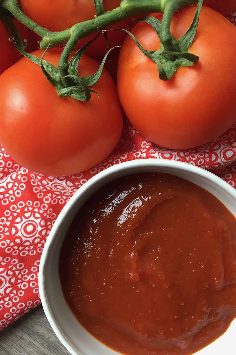 Vertical image of a bowl of ketchup next to tomatoes on a red napkin.