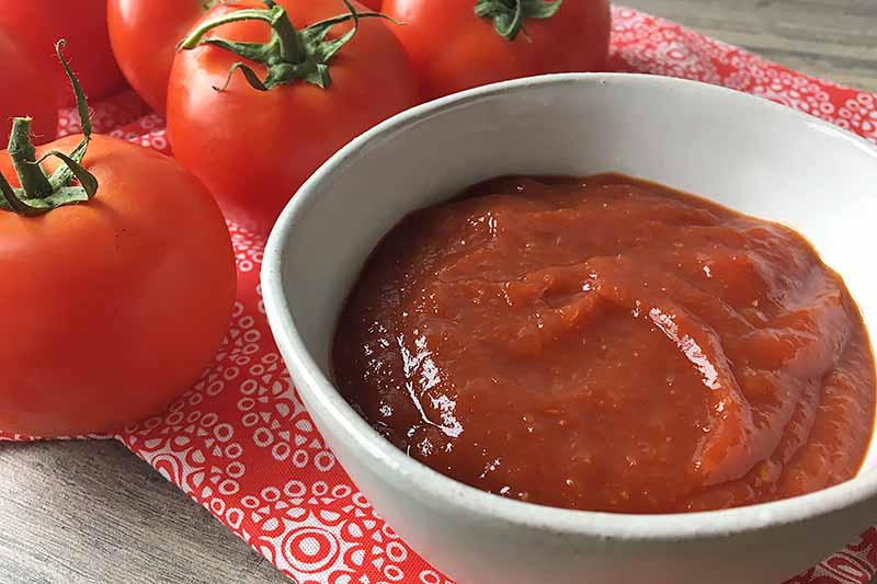 Horizontal image of ketchup in a white bowl on a red napkin with fresh tomatoes. 