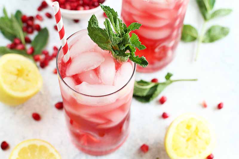 Two glasses of pink lemonade and ice with a red and white straw and a mint garnish, with more mint leaves, lemon slices, and pomegranate seeds scattered decoratively on a white background.
