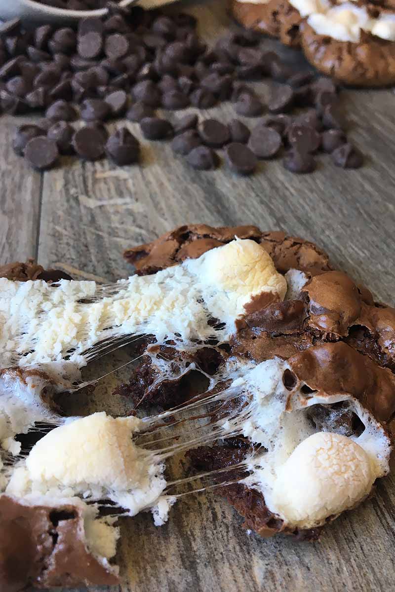 Vertical image of a cookie split in half with marshmallow and melted chocolate.