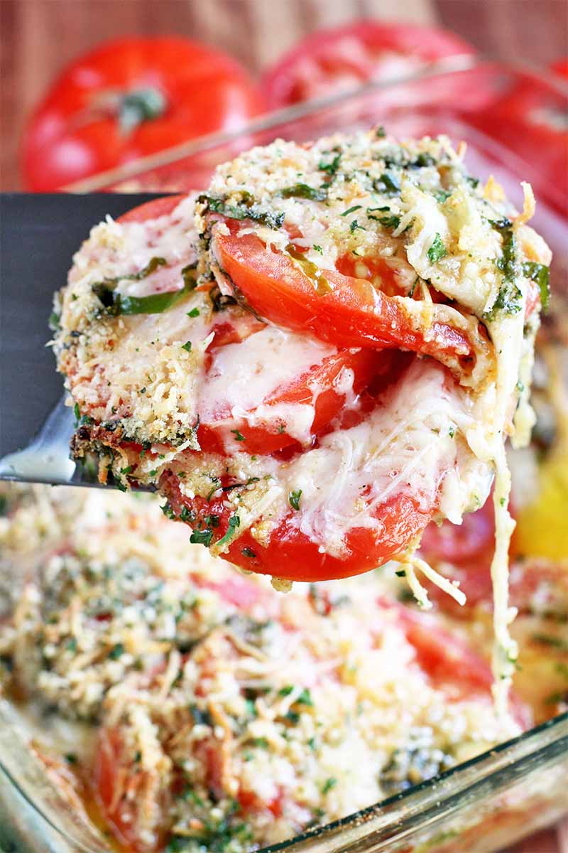  The Best Scalloped Tomato Casserole Recipe with Fresh Herbs 