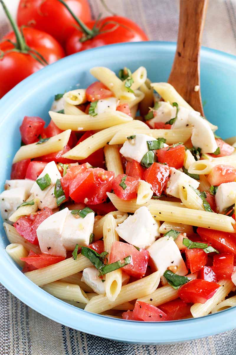 Vertical image of a blue glass bowl of pasta salad with basil and mozzarella, with a brown wooden spoon, in front of three red tomatoes with red stems, on a tan surface.