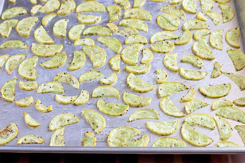 Thinly sliced half moons of roasted yellow squash are spread in a single layer without touching on a silver sheet pan.