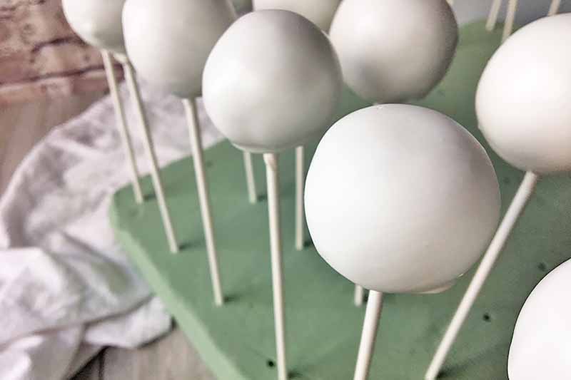 Horizontal image of white chocolate balls on sticks on a foam board.