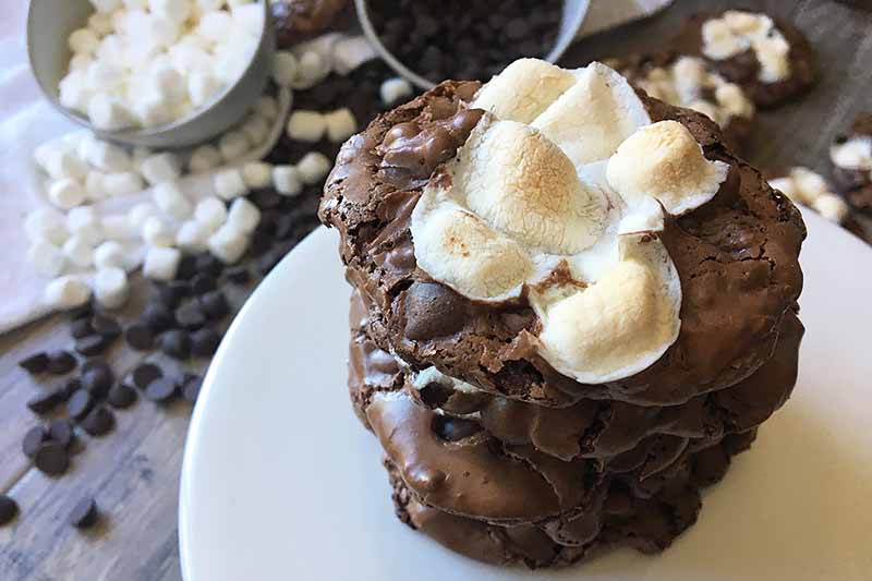 Horizontal image of chocolate cookies with marshmallows on a white plate.