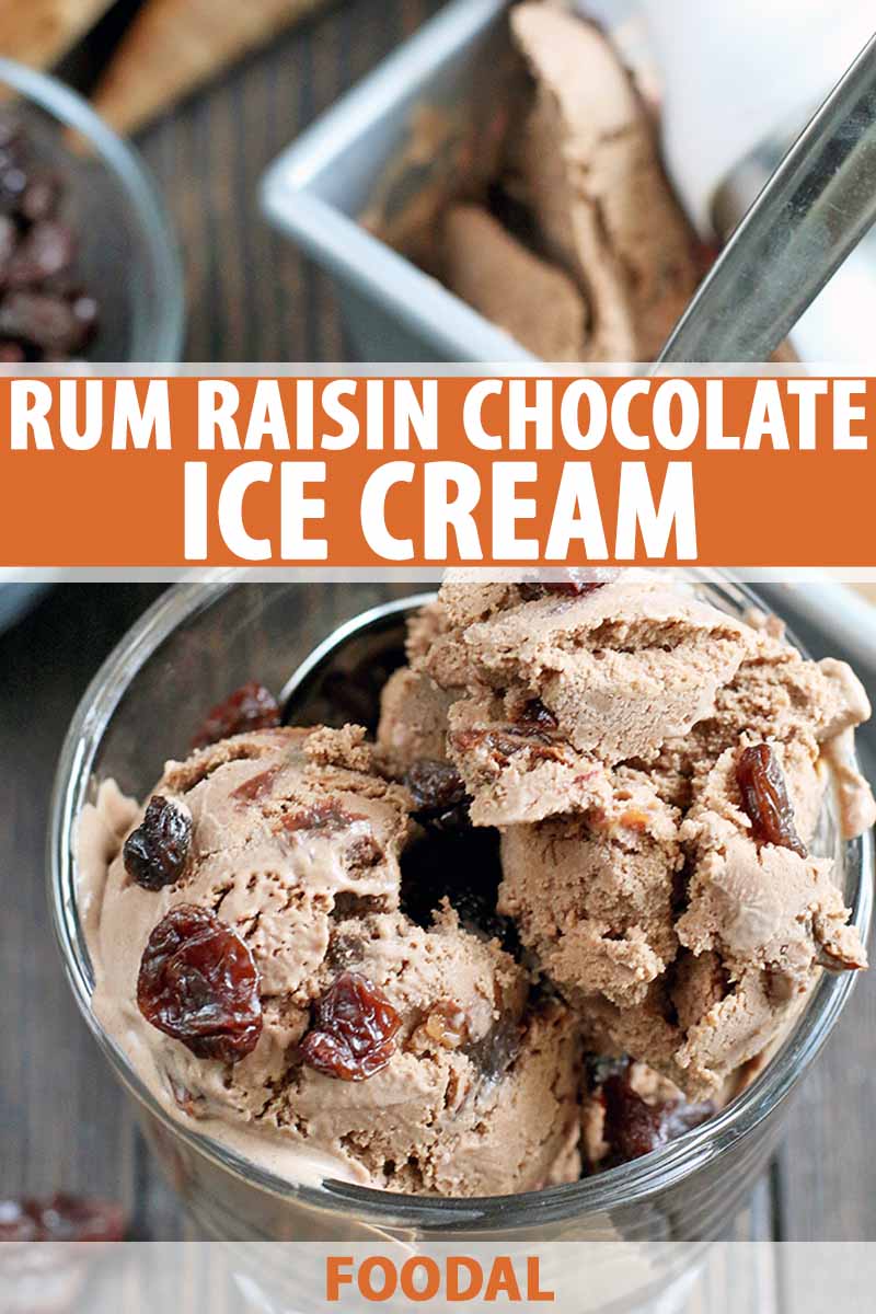 A bowl of chocolate rum raisin ice cream with more in a loaf pan in the background, beside a small glass bowl of raisins and several waffle cones, on a dark brown wood surface, with orange and white text.