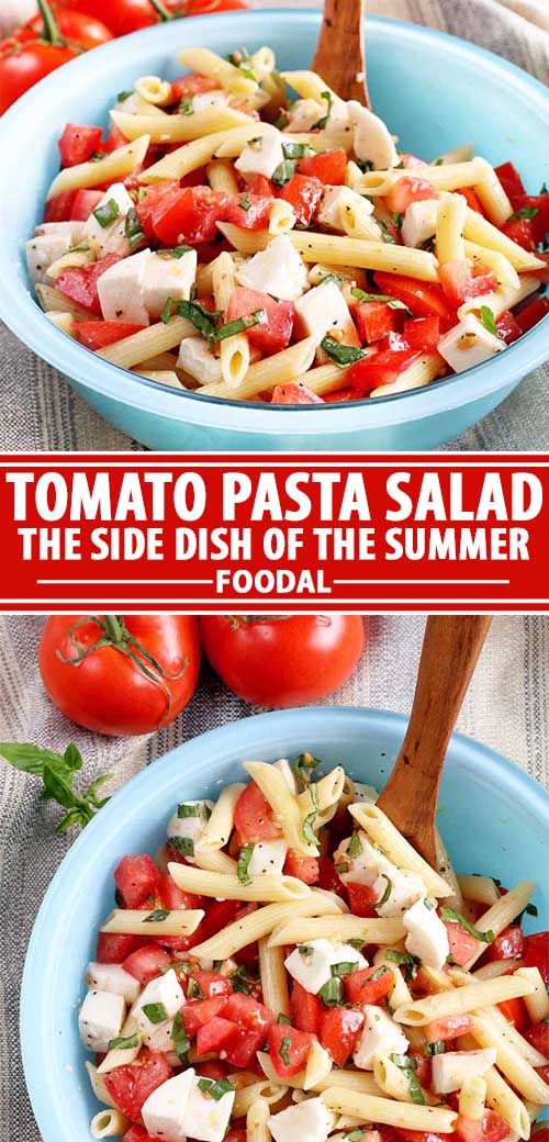 A collage of photos showing different views of a tomato pasta salad recipe.