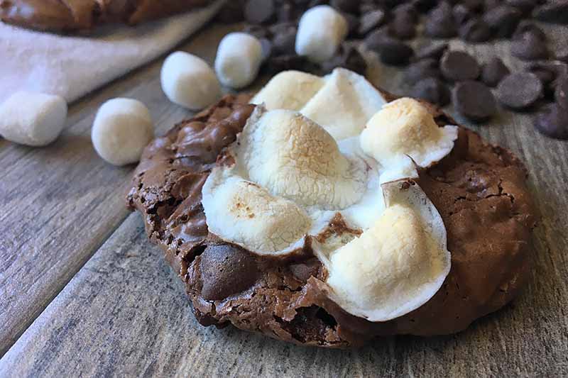 Horizontal image of a cookie with browned mini marshmallows on top.