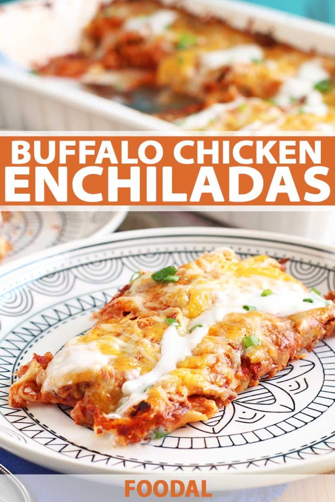 Buffalo Chicken Enchilada Recipe for Parties and Game Day | Foodal