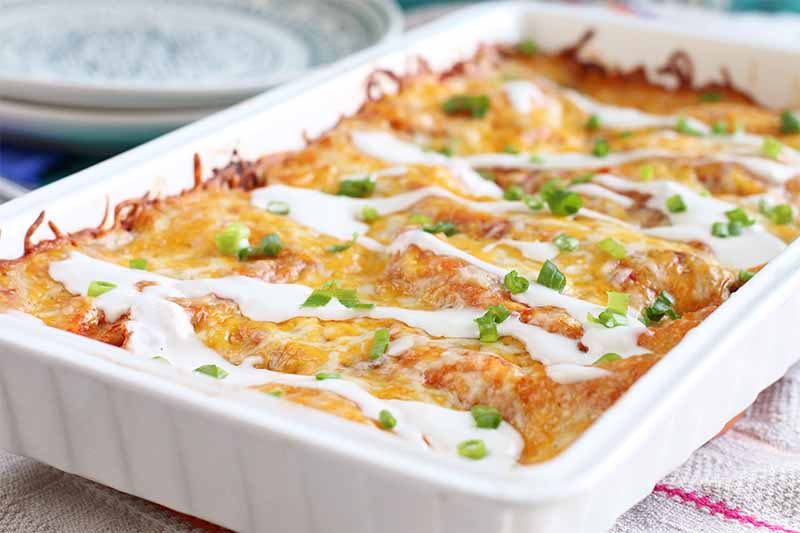 A white ceramic baking dish of Buffalo chicken enchiladas, topped with a drizzle of blue cheese and chopped green onions, with two plates in the background, on a striped gray cloth.