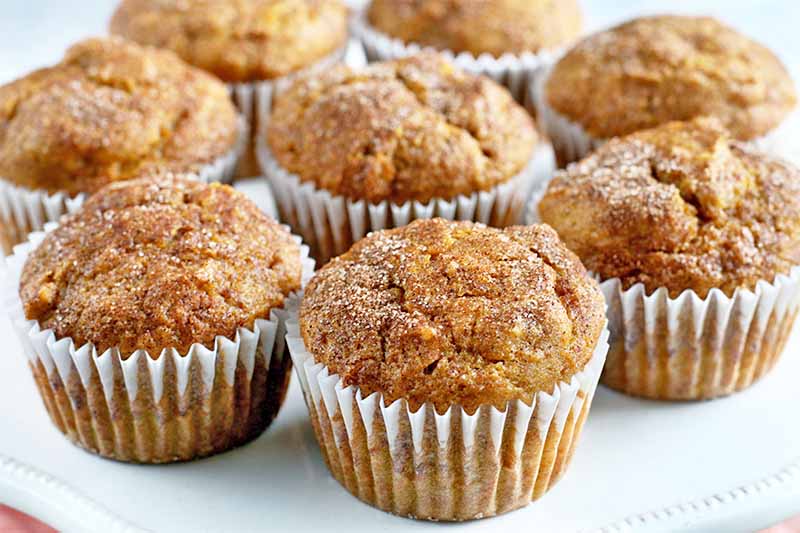 Eight pumpkin muffins with cinnamon and sugar topping arranged in a circle on a white plate.