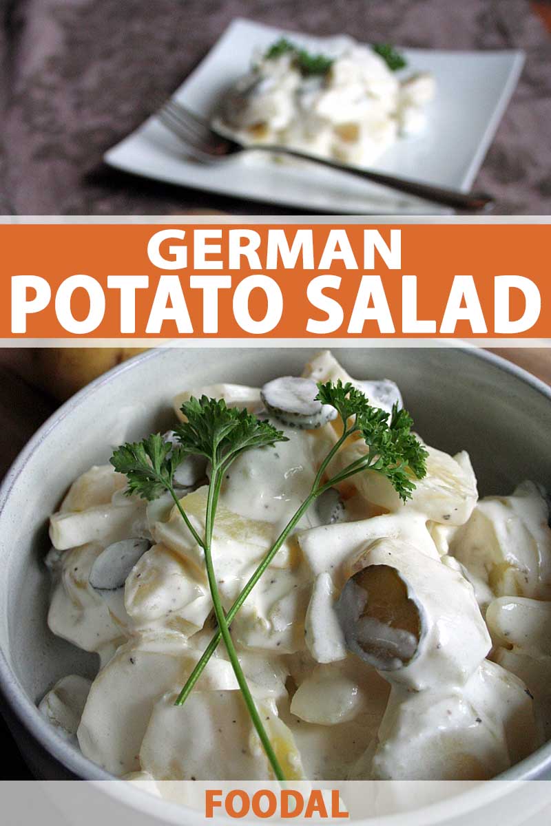 Oblique view of German potato salad in a white, porcelain bowl.
