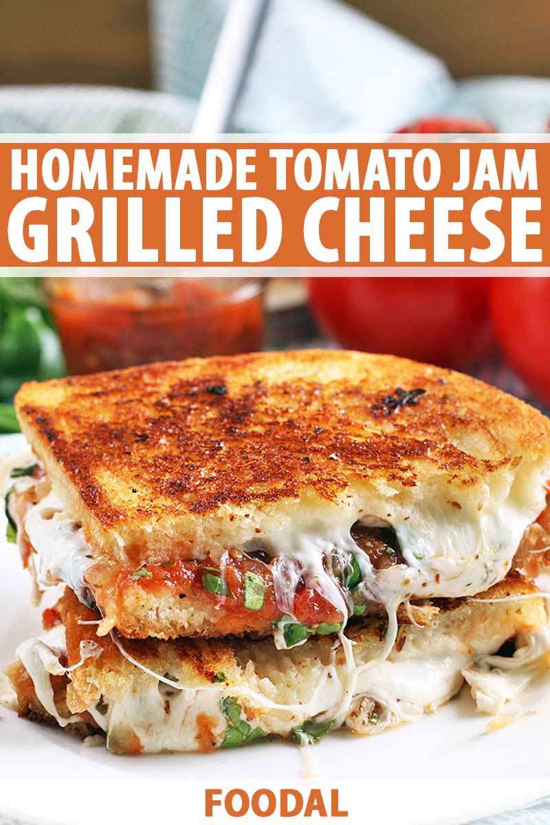 Grof sensor Berg Updated on A Classic Recipe: Grilled Cheese with Tomato Jam | Foodal
