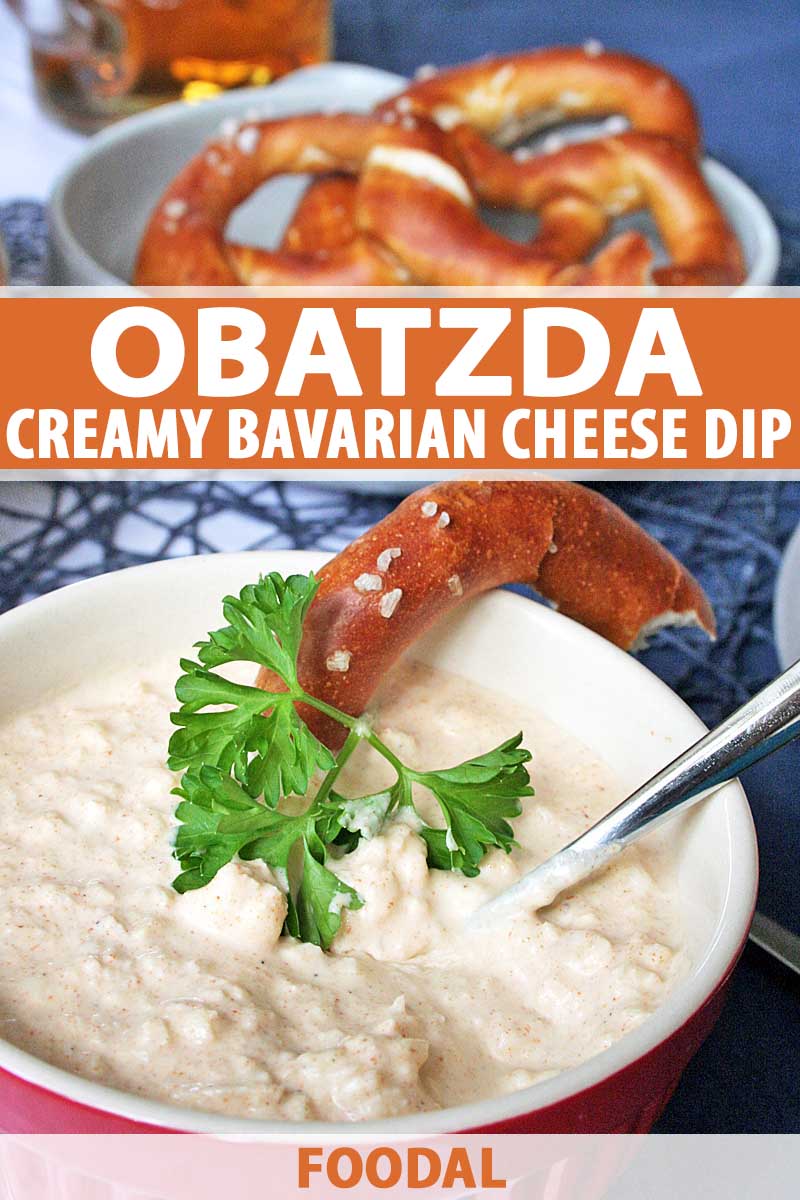 Close up of a bowl of German cheese "obatzda" dip with lye pretzels in the background.