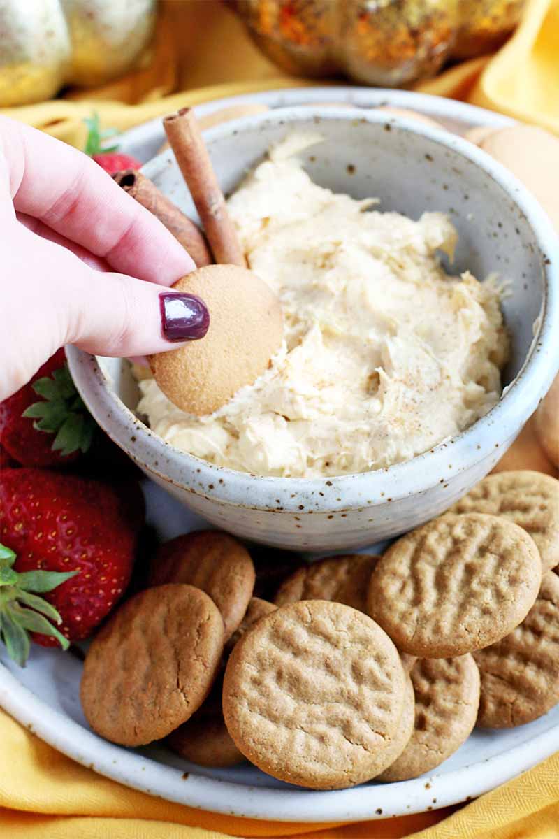 A woman's hand with a manicured purple thumbnail dips a vanilla wafer into a bowl of pumpkin cream cheese, with cinnamon sticks for garnish, on a platter of cookies and strawberries, on a yellow cloth.