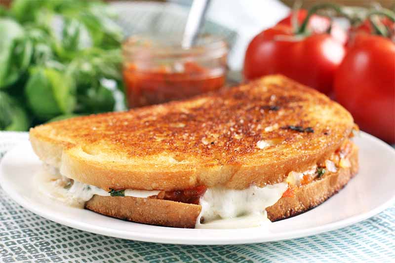 Side view of a grilled cheese sandwich on a plate, with basil, a small jar of red jam, and tomatoes in the background, on a blue and white checkered cloth.
