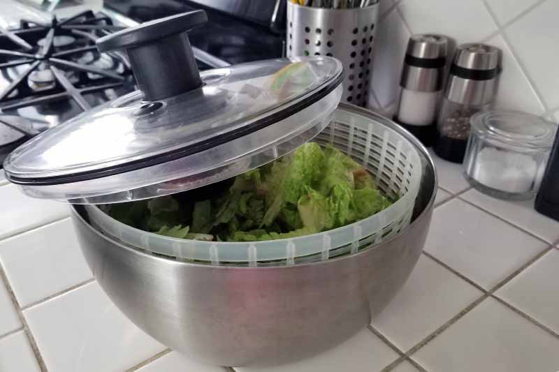A stainless, acrylic, and black plastic salad spinner with an open top to show the dried lettuce inside, on a white tile kitchen countertop with salt and pepper grinders and a salt cellar in the background.