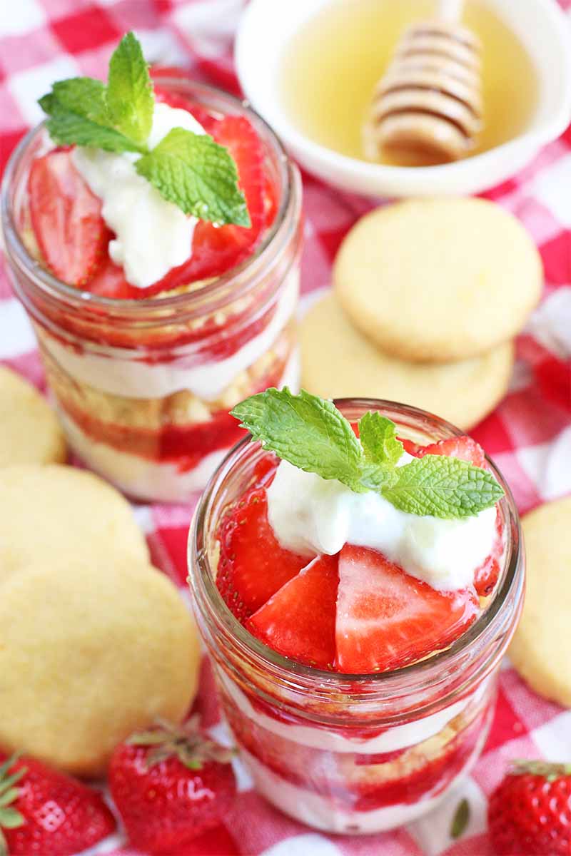 Oblique shot of two jars of strawberry dessert parfait garnished with sprigs of fresh mint, with scattered homemade lemon cookies, fresh berries, and a shallow bowl of honey with a wooden dipper, on a white and red checkered tablecloth.