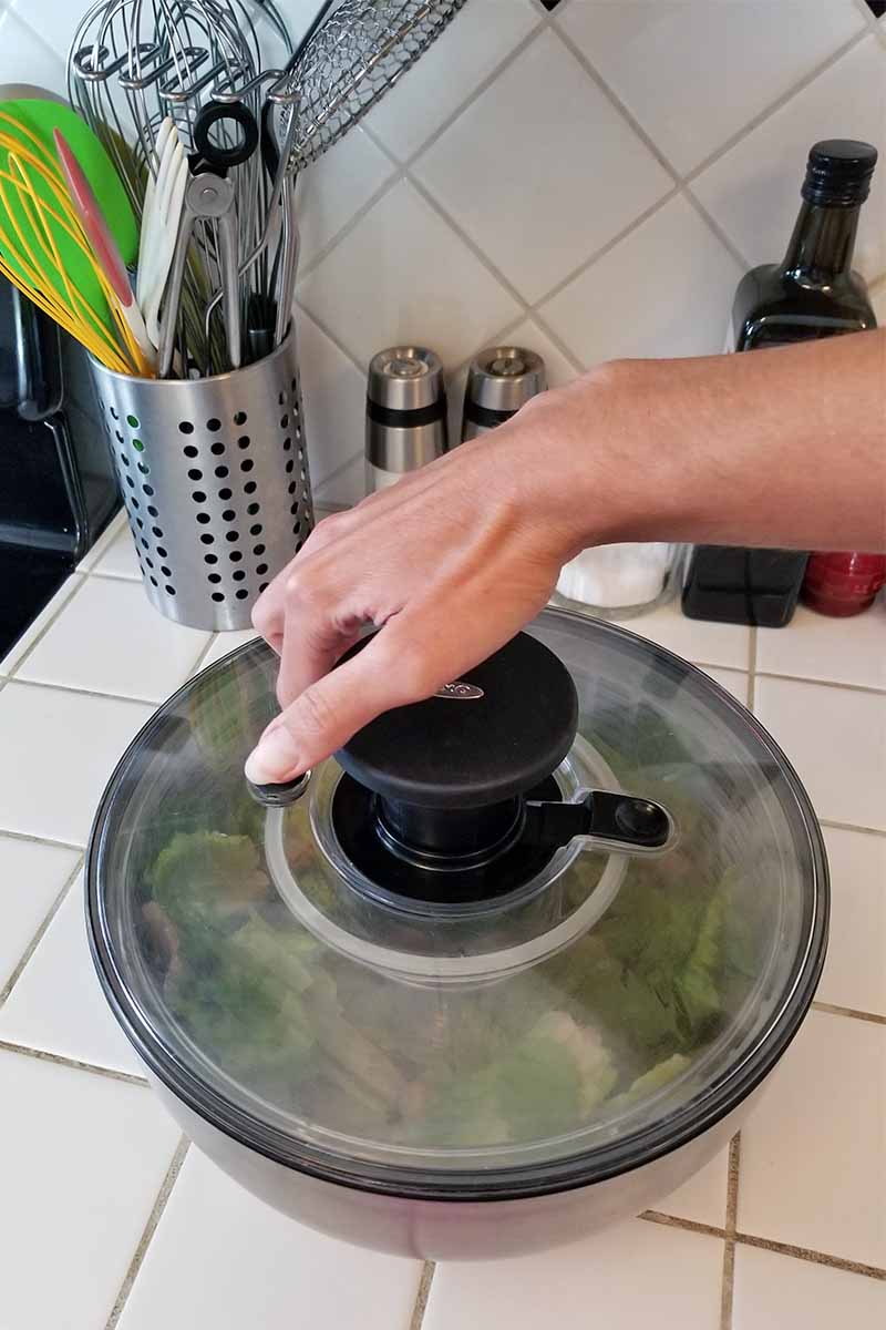A hand presses a black button on the top of an acrylic and stainless steel salad spinner on a white tile countertop, with a stainless canister of kitchen utensils, salt and pepper shakers, and a bottle of oil in the background.