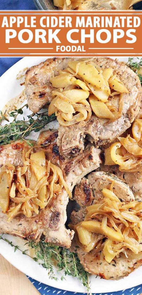 Top down view of apple cider marinated pork chops smothered with caramelized onion and apple slices.