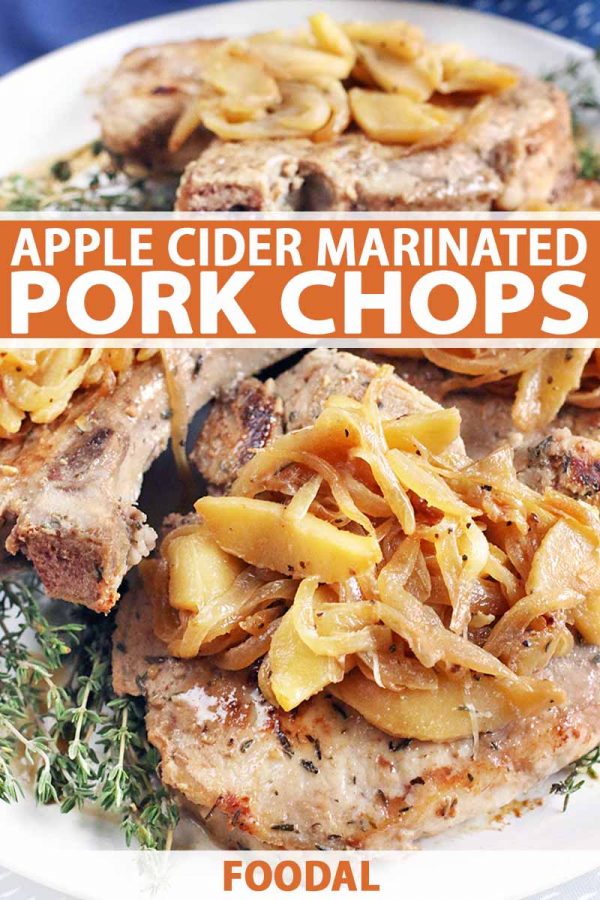 Apple Cider Marinated Pork Chops: the Perfect Fall Dinner | Foodal