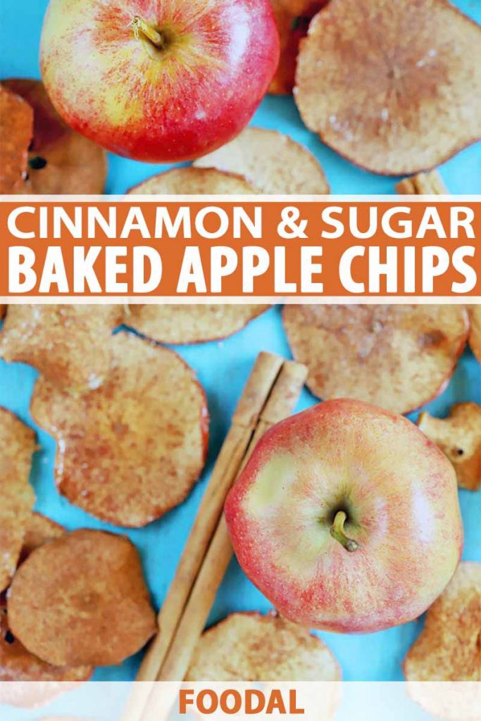 Vertical overhead image of homemade apple chips, two whole fruit, and cinnamon sticks, on a blue background, printed with orange and white text.