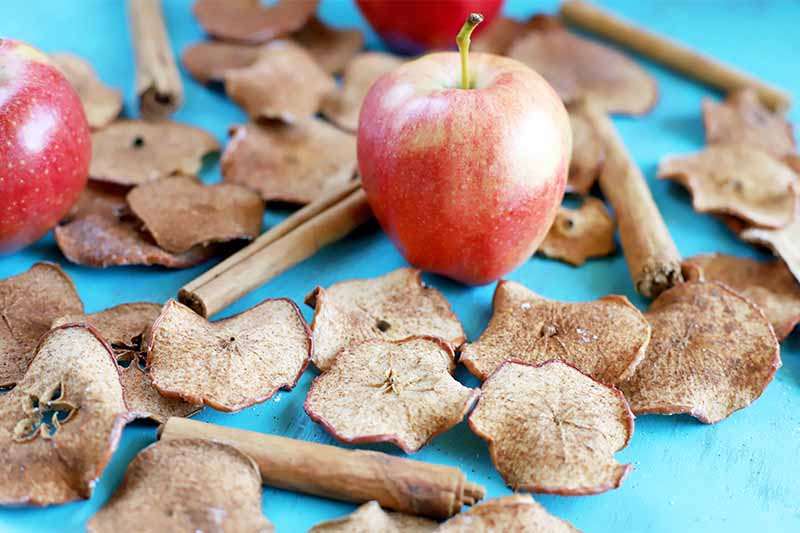 Homemade baked apple chips with three whole fruit and cinnamon sticks, on a blue background.