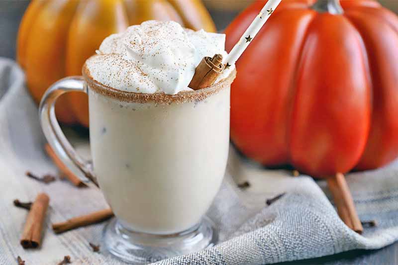 A glass mug of a coffee cocktail with a spiced sugar rim, garnished with whipped cream and a whole cinnamon stick, with a white paper straw printed with gold stars, on a gathered striped gray and blue cloth, with two light and dark orange decorative pumpkins in the background, and scattered whole spices.