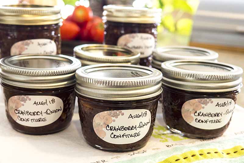 Jars filled with a maroon confit, with handwritten labels that say "Aug 18" and "Cranberry-Onion Confiture," on a patterned kitchen towel.