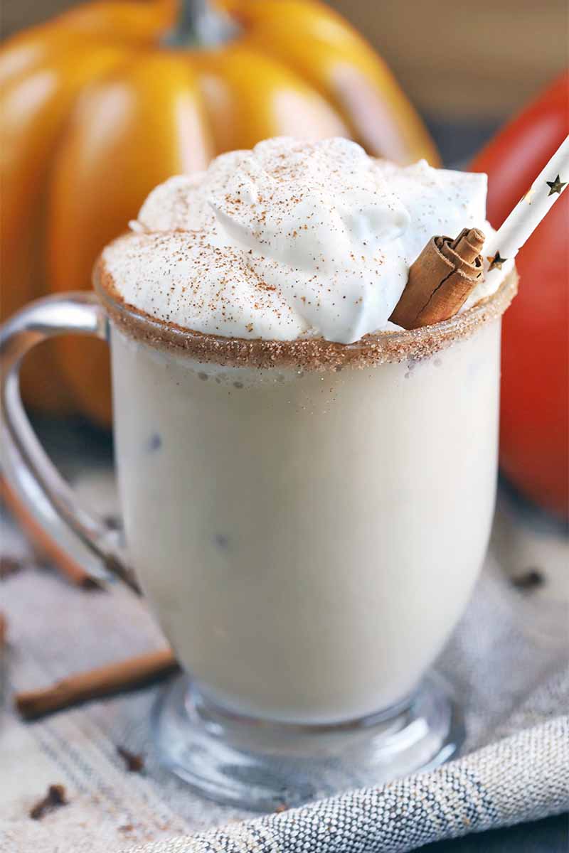 Pumpkin spice latte coffee cocktail in a glass mug, garnished with whipped cream and a cinnamon stick, with a paper straw, on a gathered gray cloth, with two decorative plastic pumpkins in soft focus in the background, and scattered whole spices.