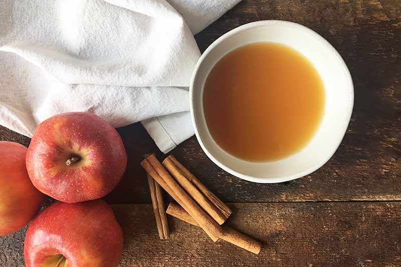 Horizontal image of a bowl filled with a golden liquid next to cinnamon sticks, apples, and a white towel.