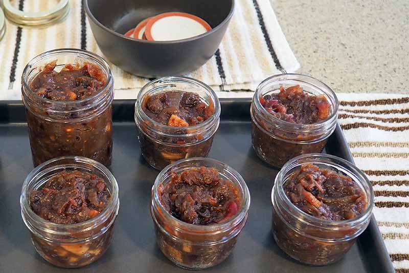 Short and tall jars of cranberry and caramelized onion confit on a black metal baking sheet, on a counter lined with kitchen towels, with a bowl of metal lid tops and a small pile of rings towards the top left of the frame.