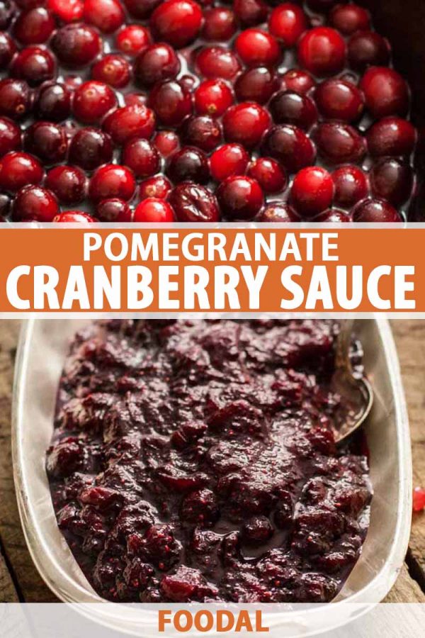 Pomegranate Cranberry Sauce Recipe for the Holidays | Foodal